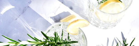 Experience the Magic of GinFest Adelaide 2025 with Flagship Distillery
